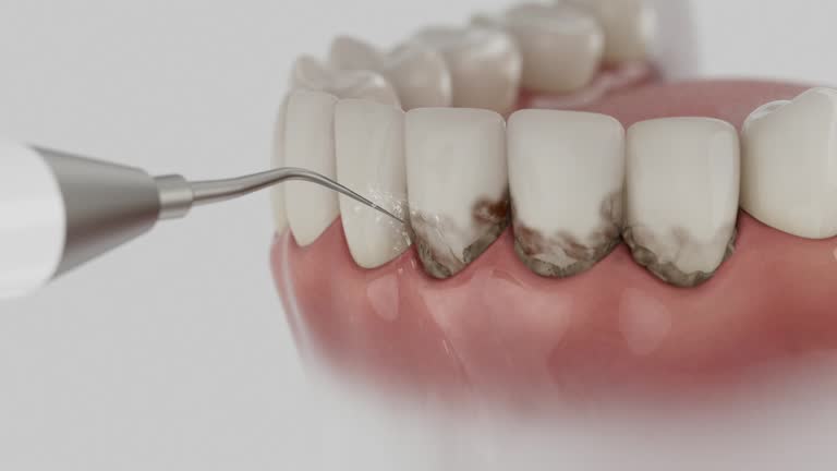 Reliable Dental contractor in Belding, MI by Dentist Open Now